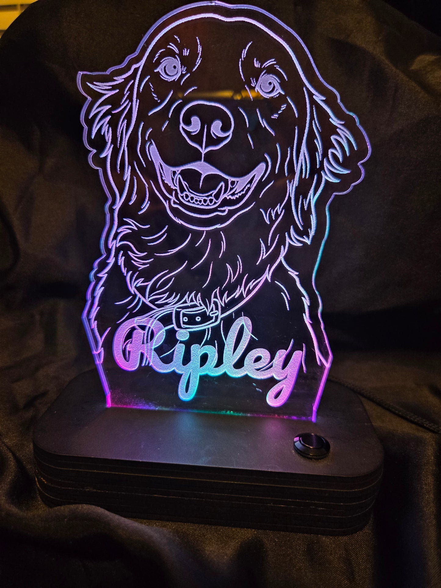 Customized Light-up Pet Art Acrylic LED Sign