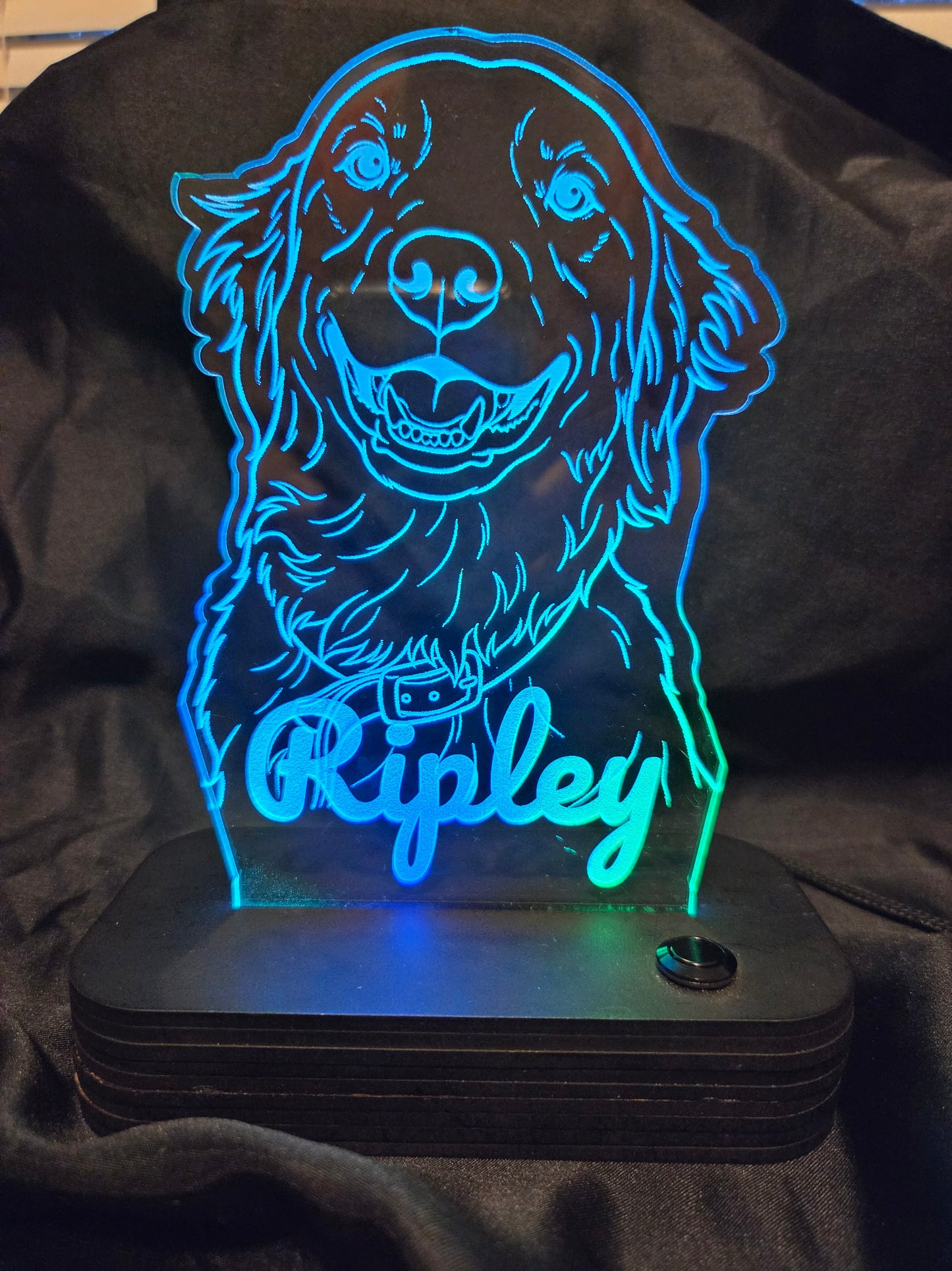 Customized Light-up Pet Art Acrylic LED Sign