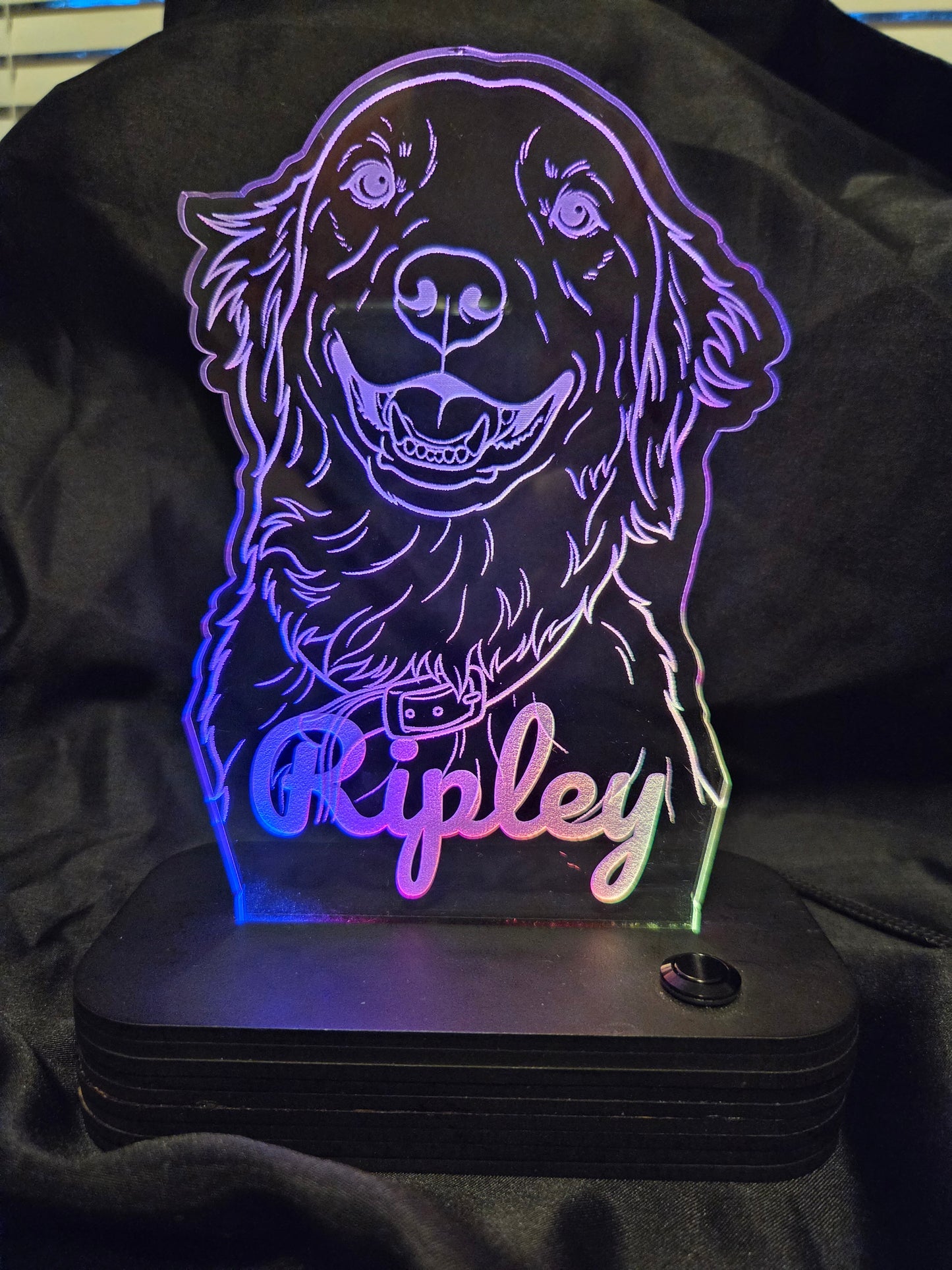 Customized Light-up Pet Art Acrylic LED Sign