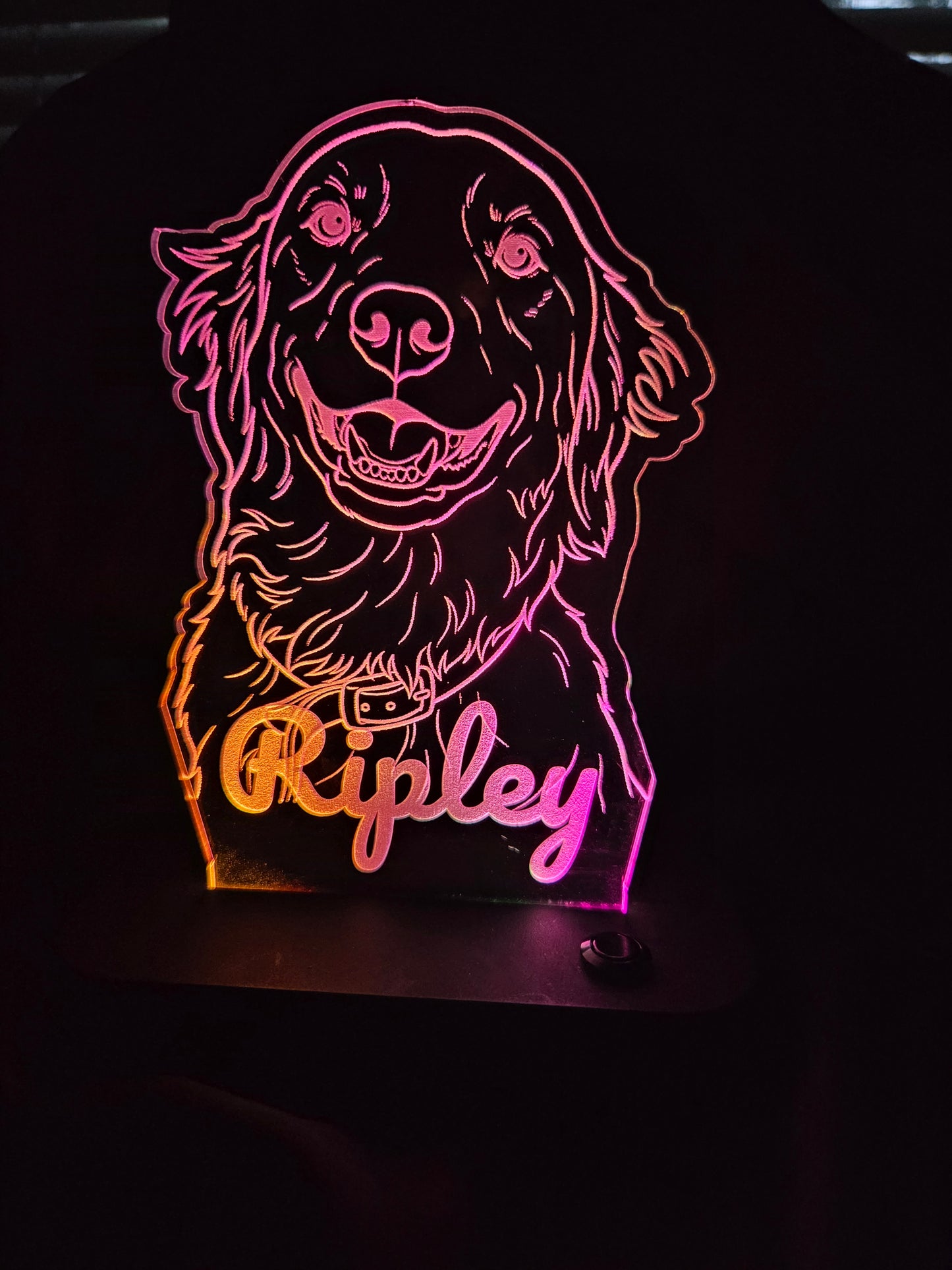 Customized Light-up Pet Art Acrylic LED Sign