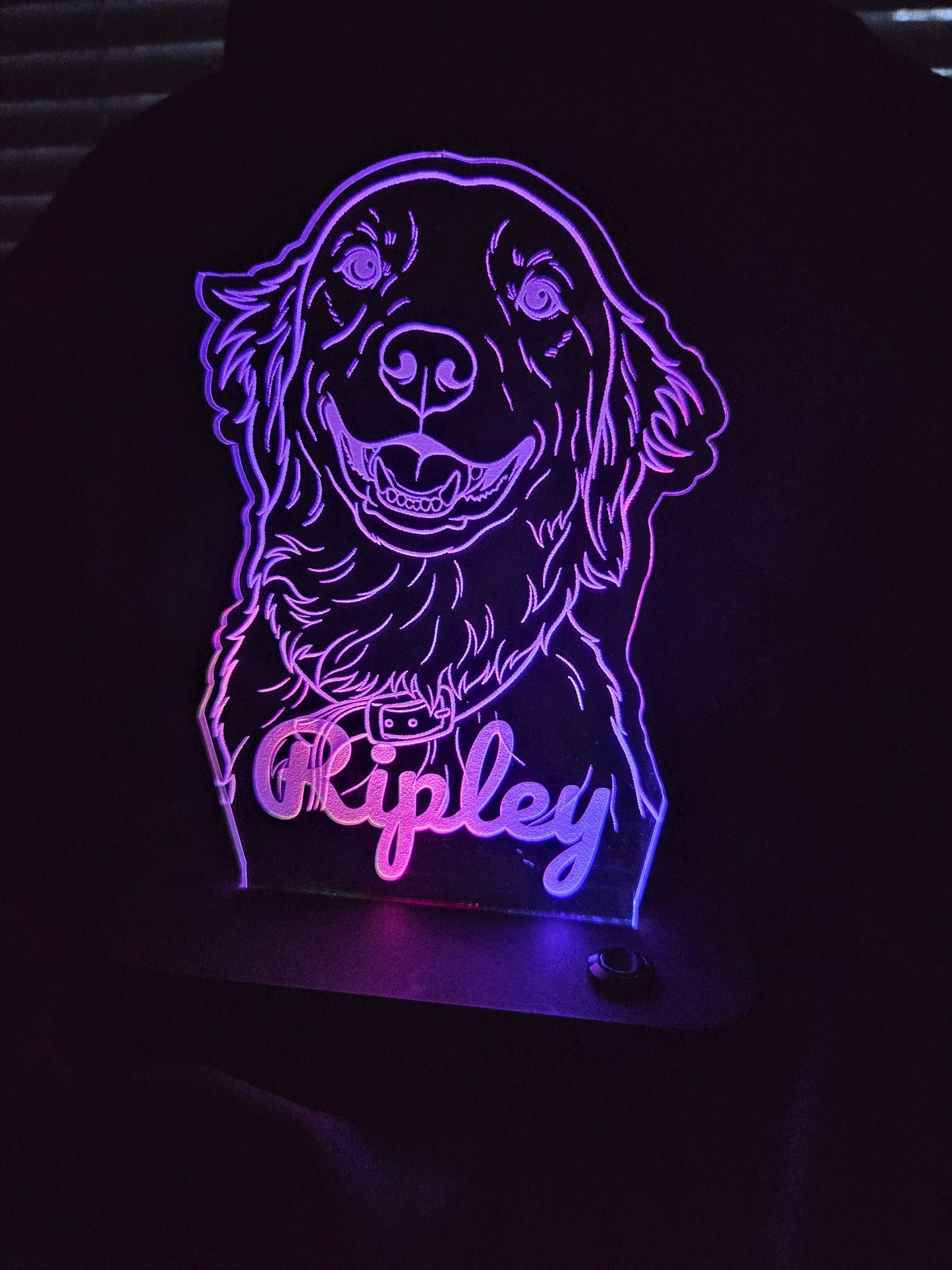 Customized Light-up Pet Art Acrylic LED Sign