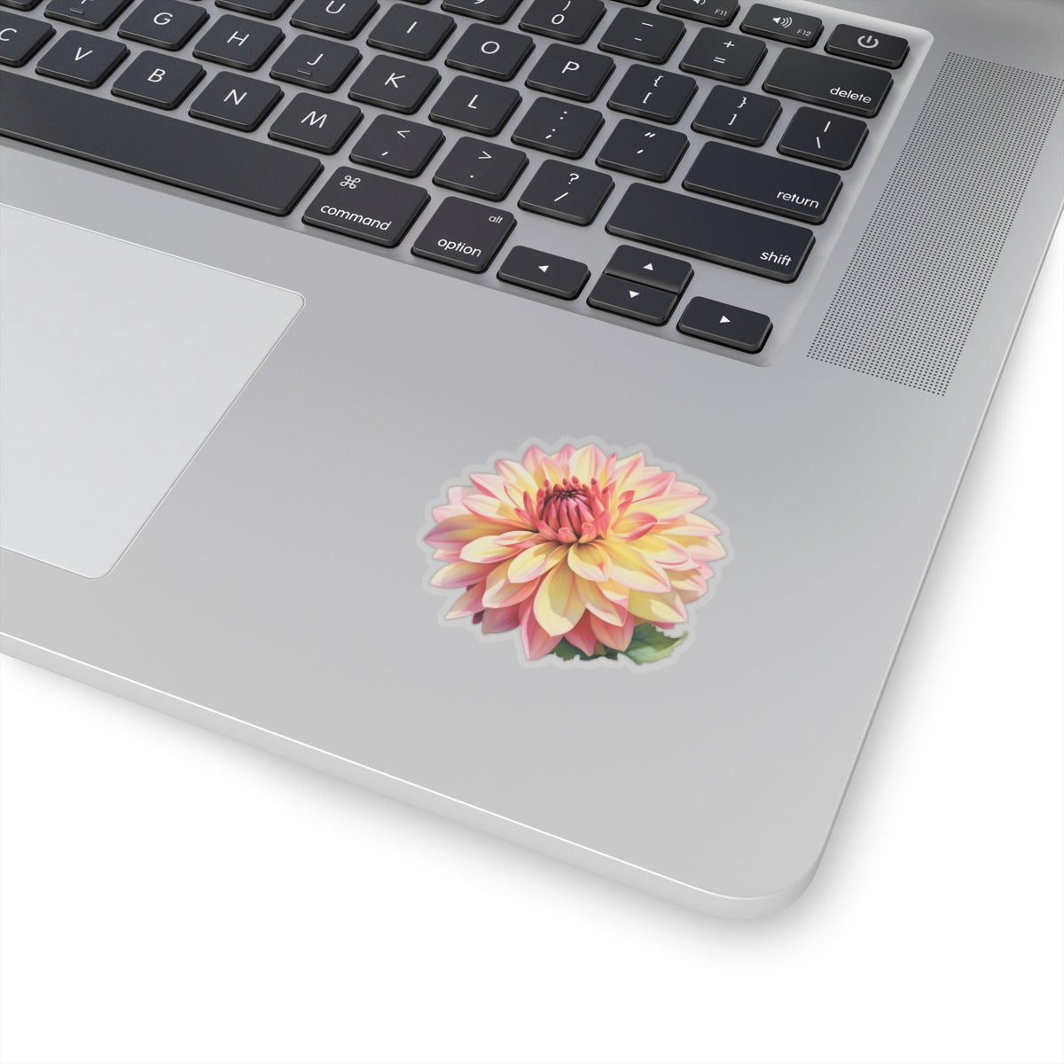 Pink and Yellow Dahlia Sticker