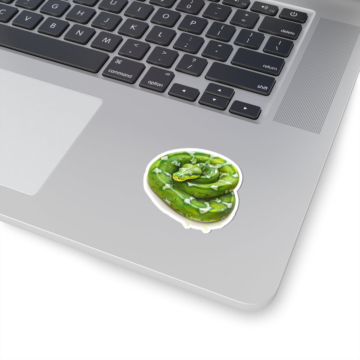 Green Snake Sticker