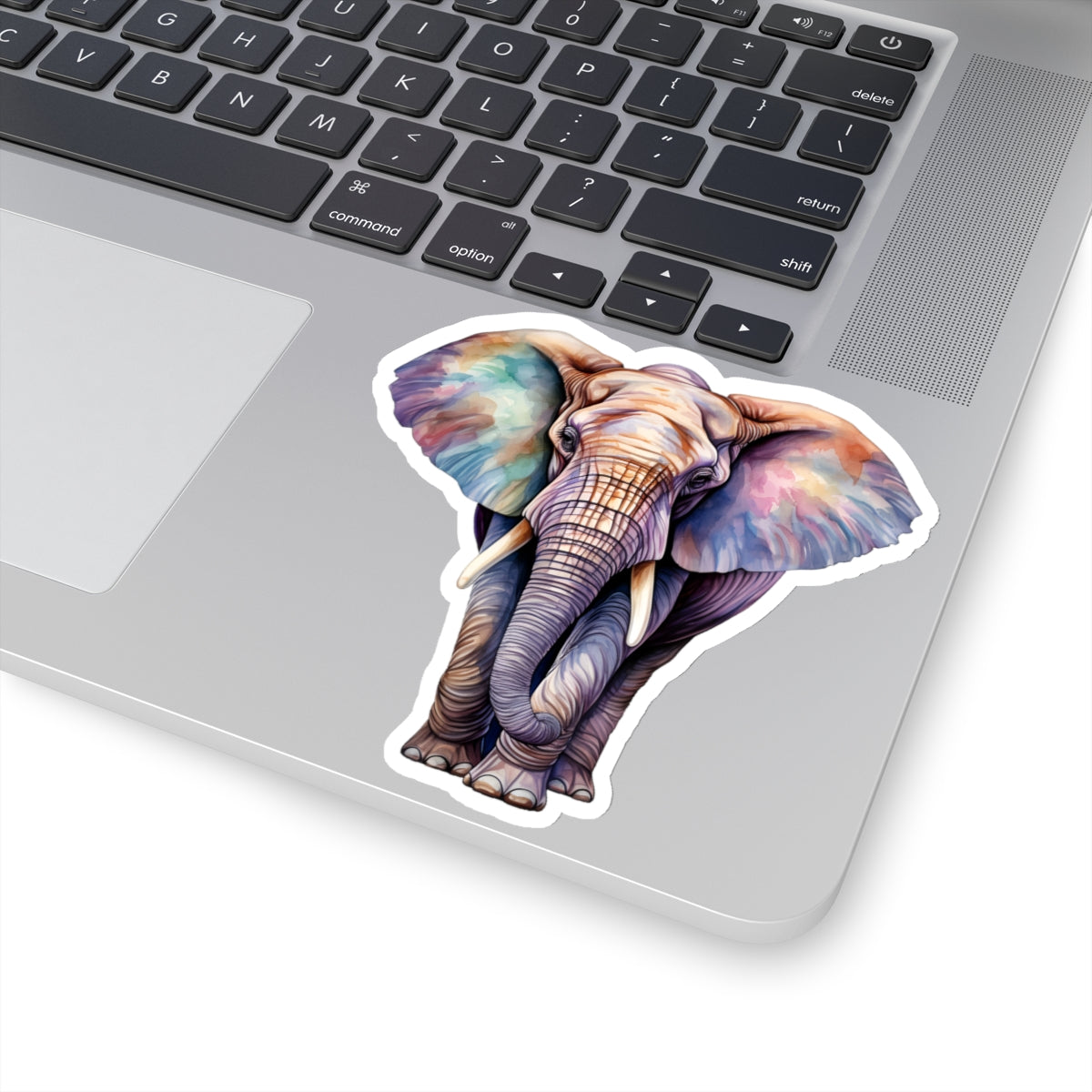 Elephant Sticker