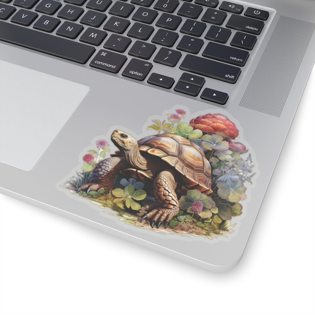 Tortoise Sticker
