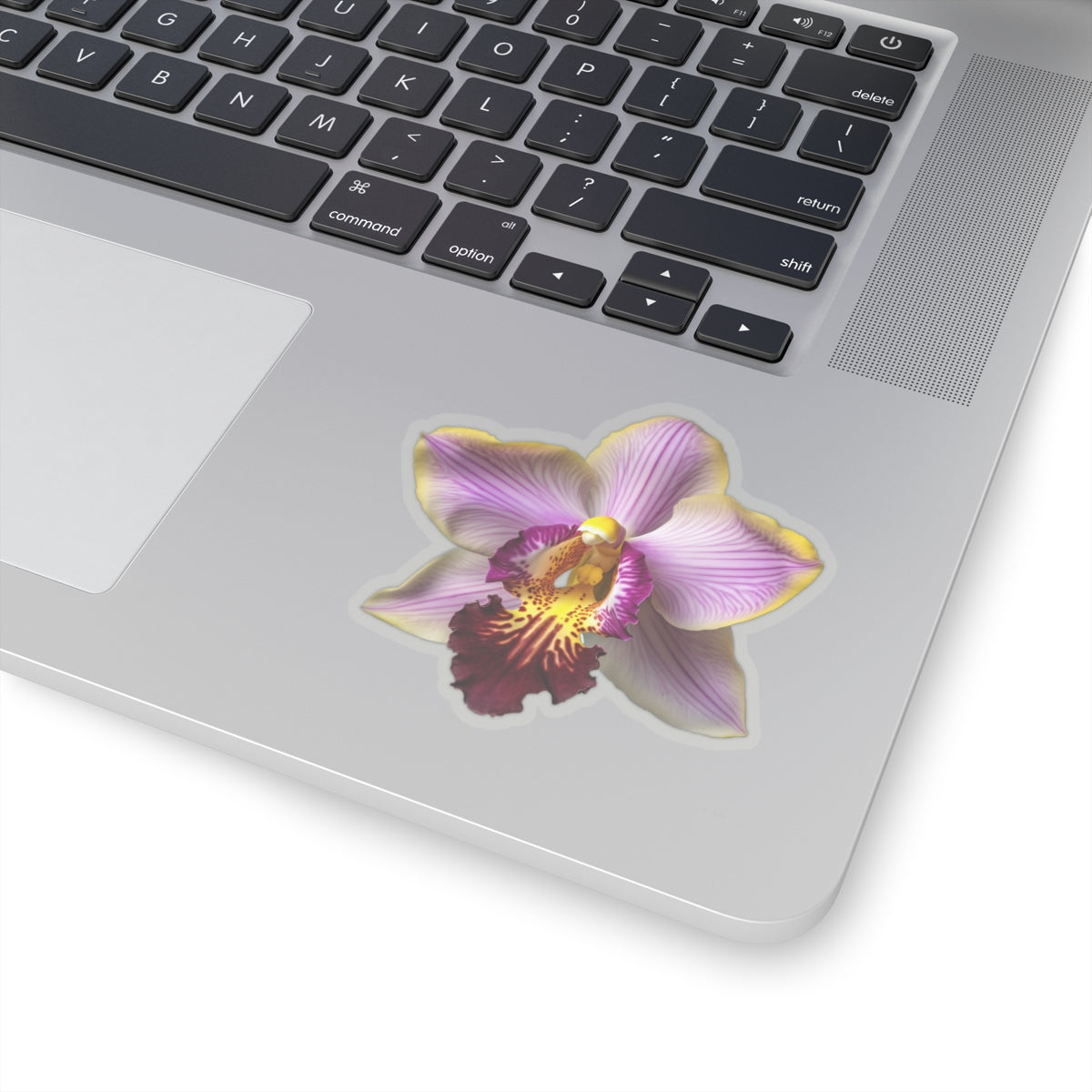 Purple and White Orchid Sticker