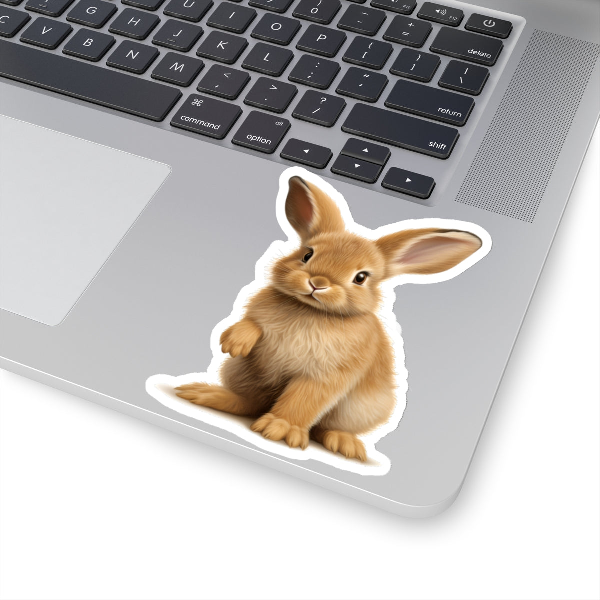 Baby Bunny Sticker