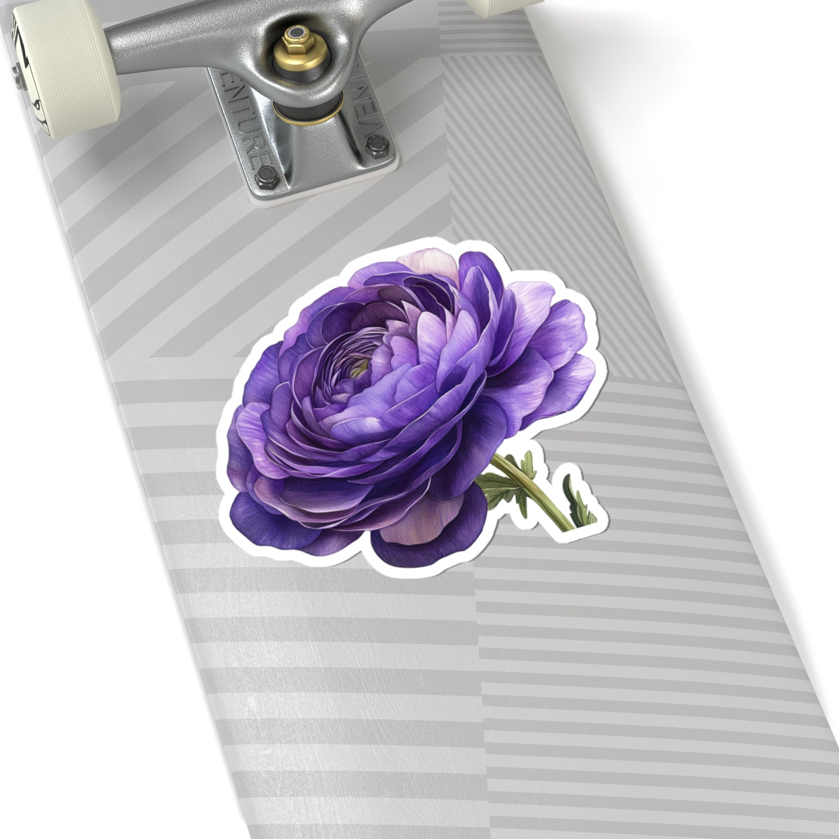 Purple Ranunculus Sticker