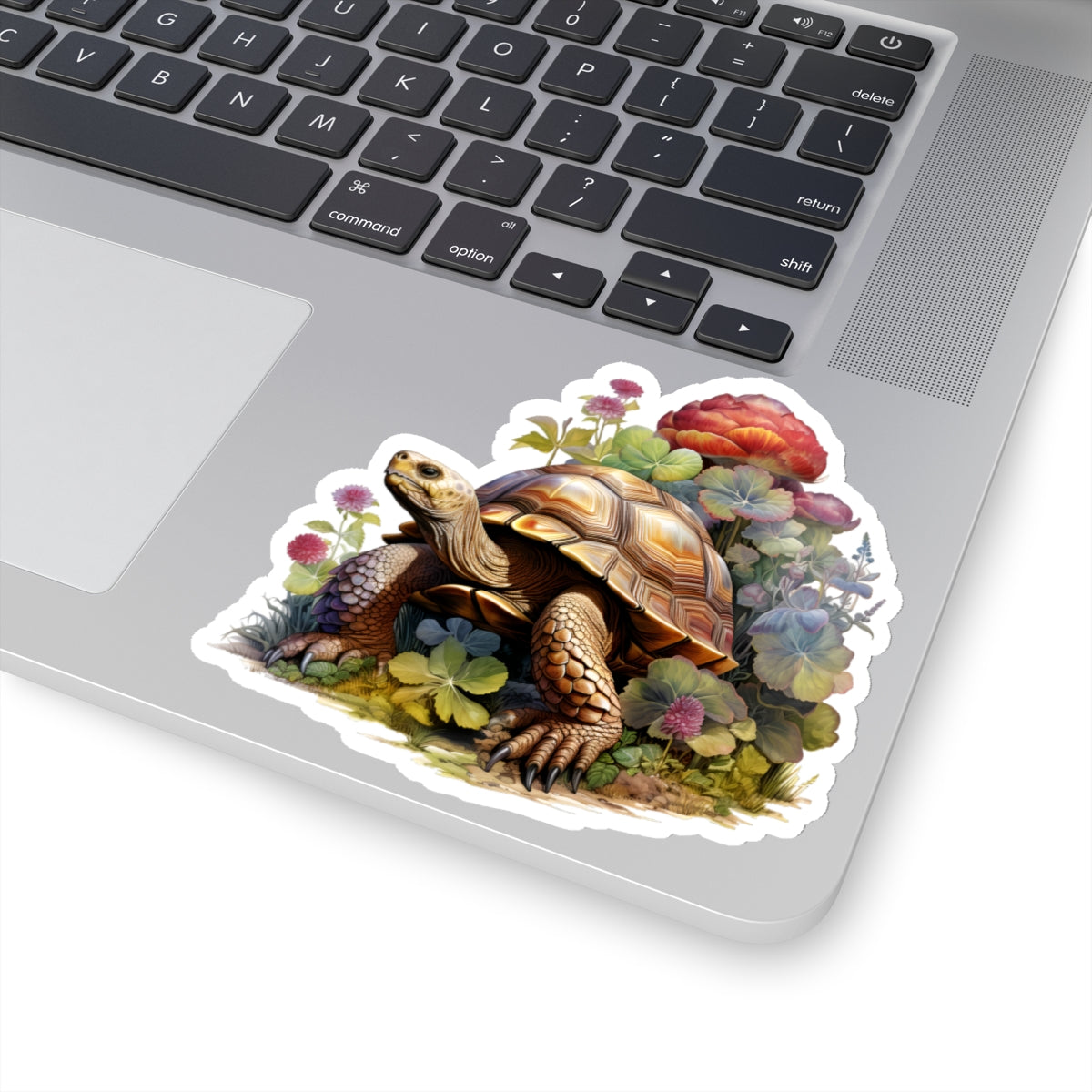 Tortoise Sticker