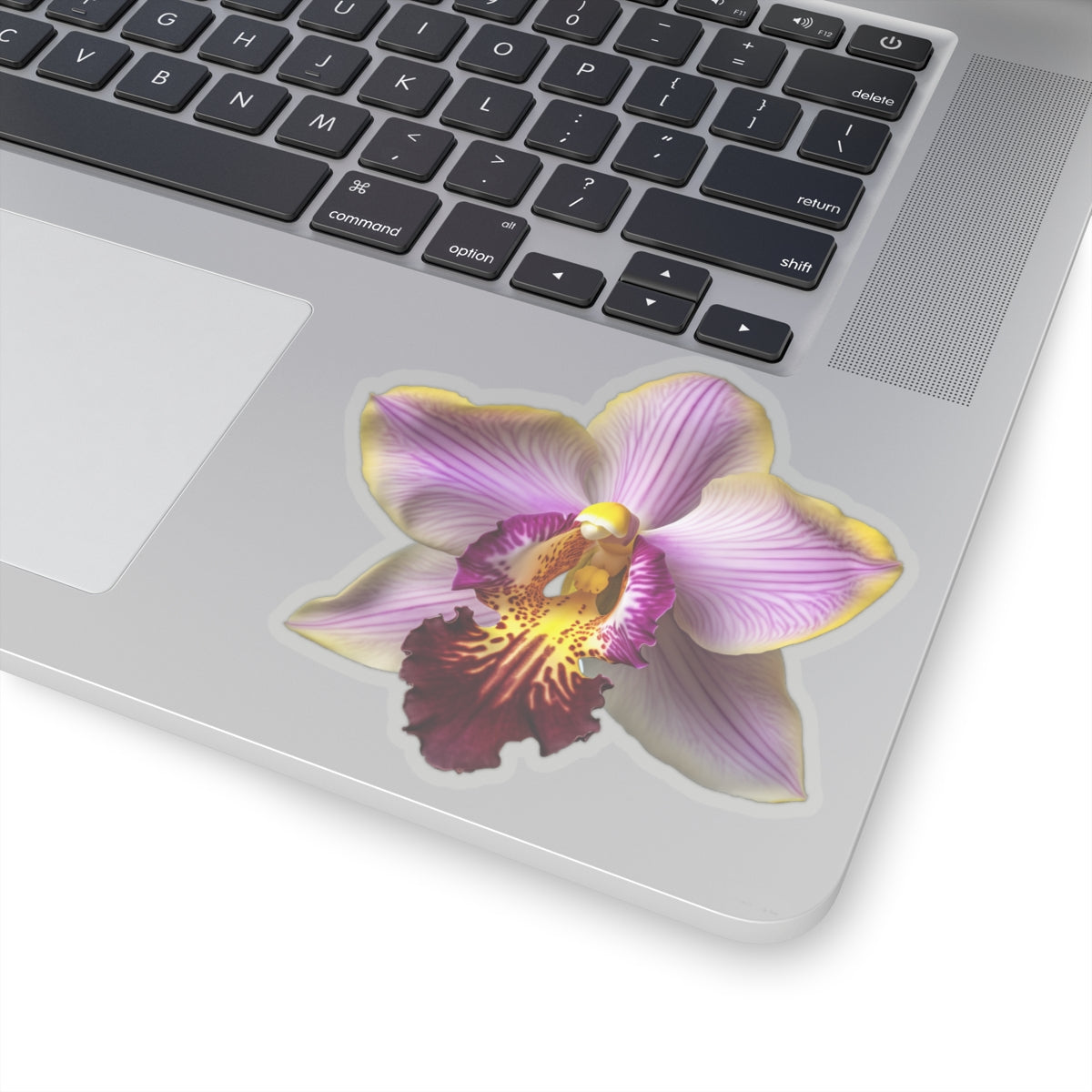 Purple and White Orchid Sticker