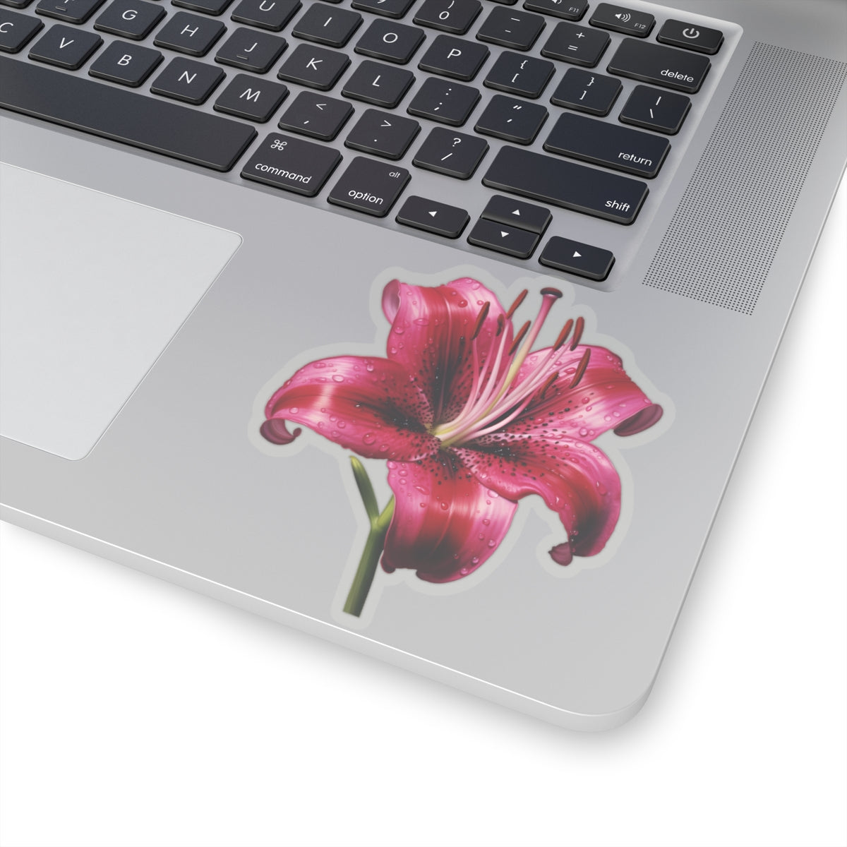 Pink Lily Sticker