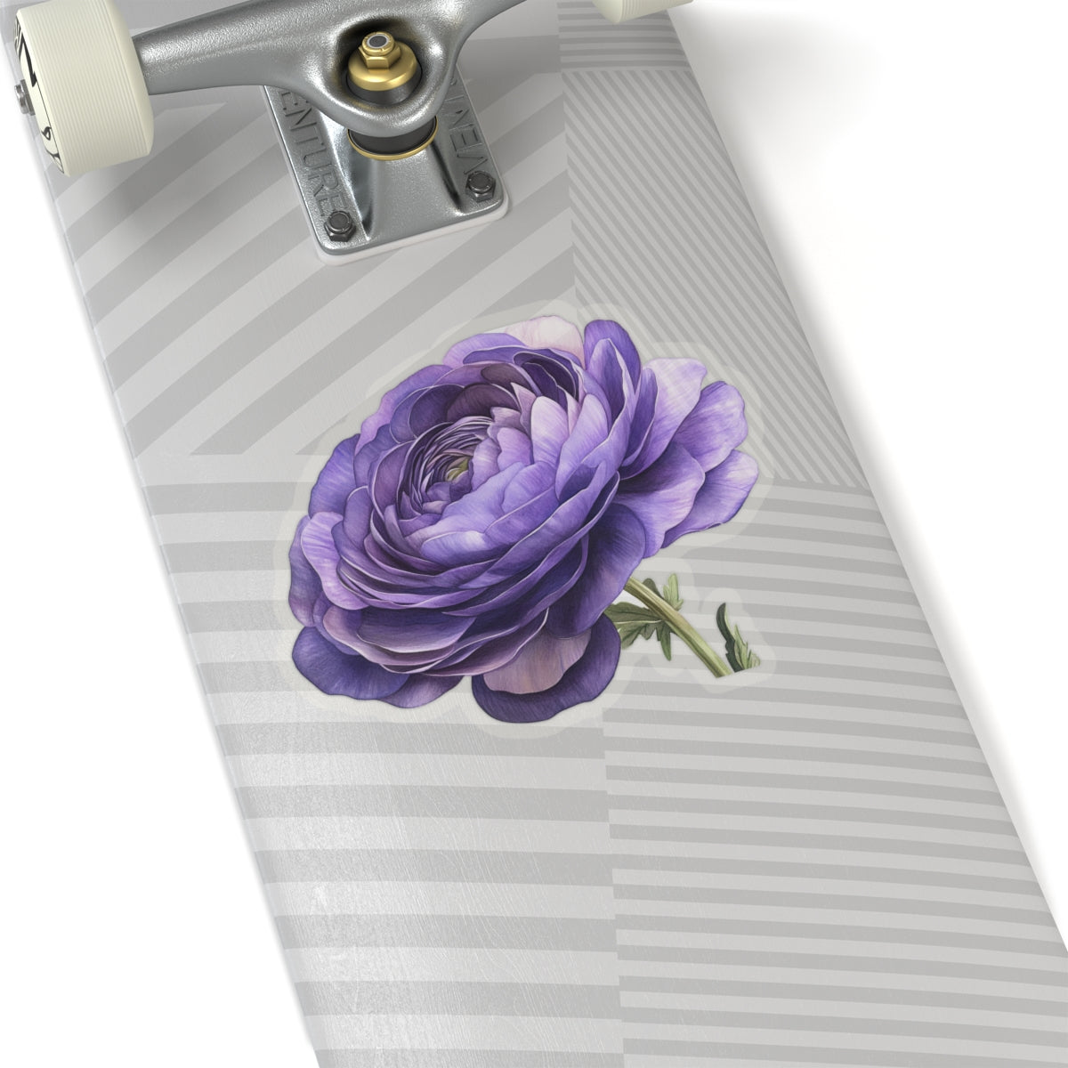 Purple Ranunculus Sticker