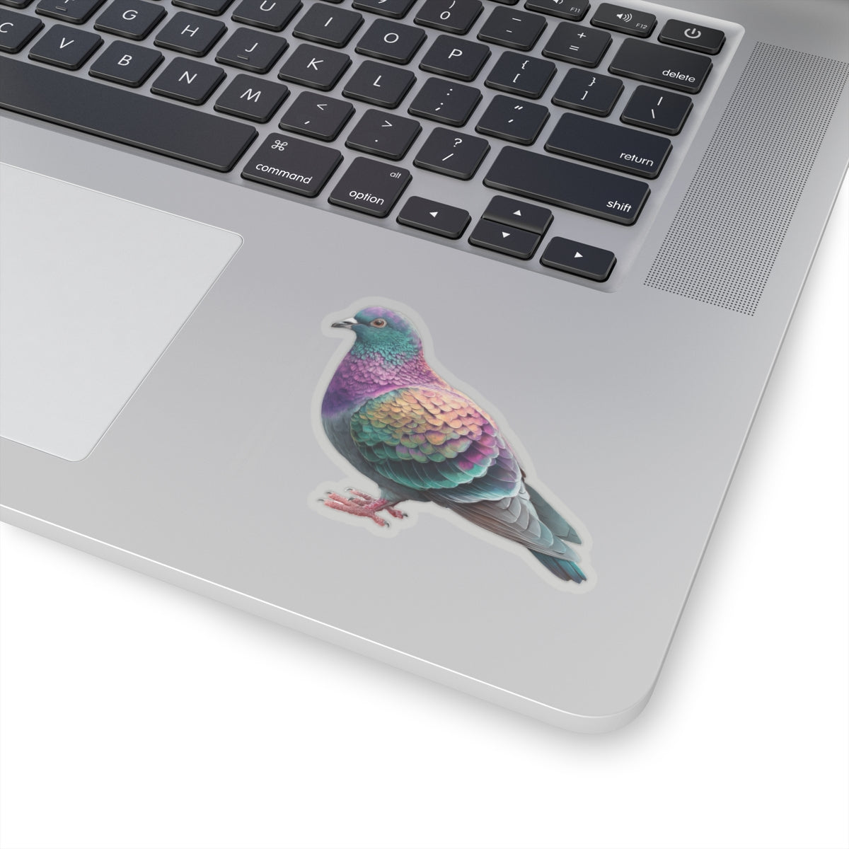 Pigeon Sticker
