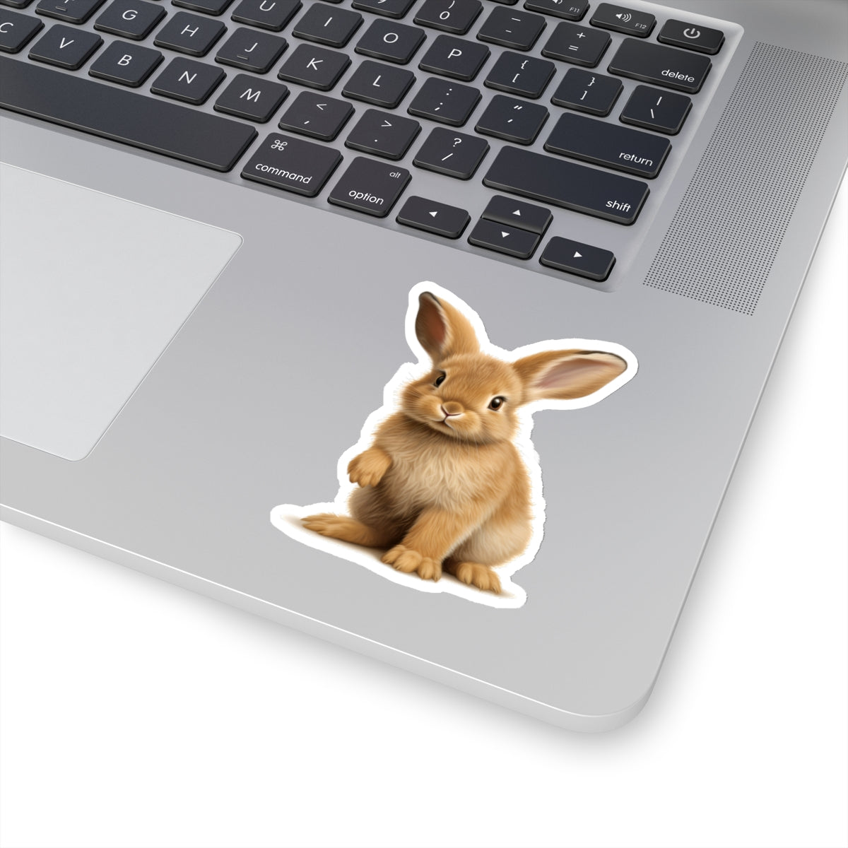 Baby Bunny Sticker