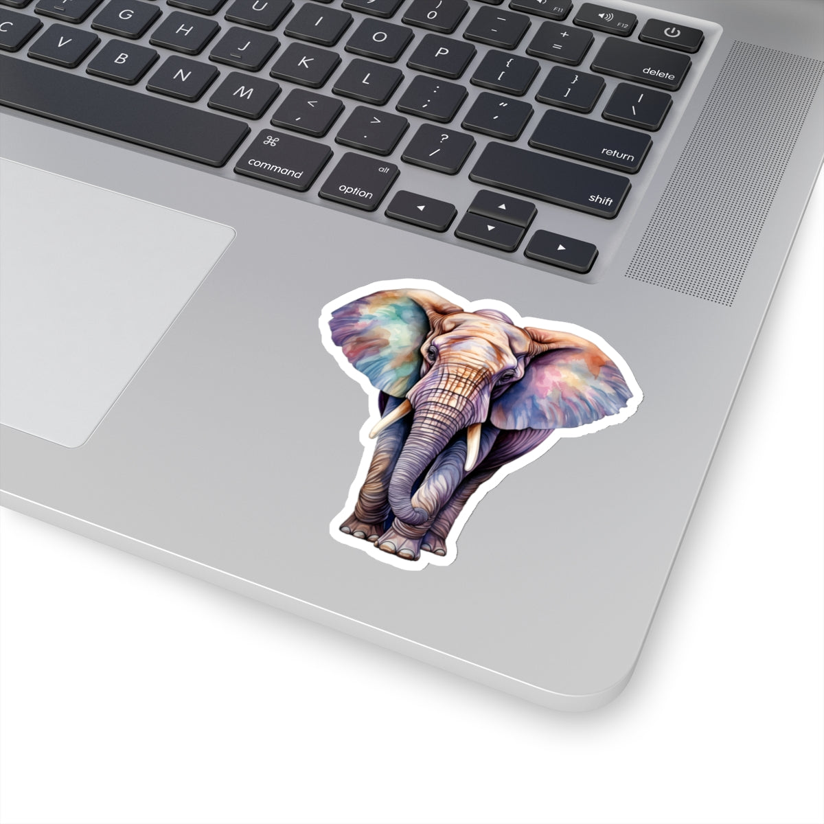 Elephant Sticker