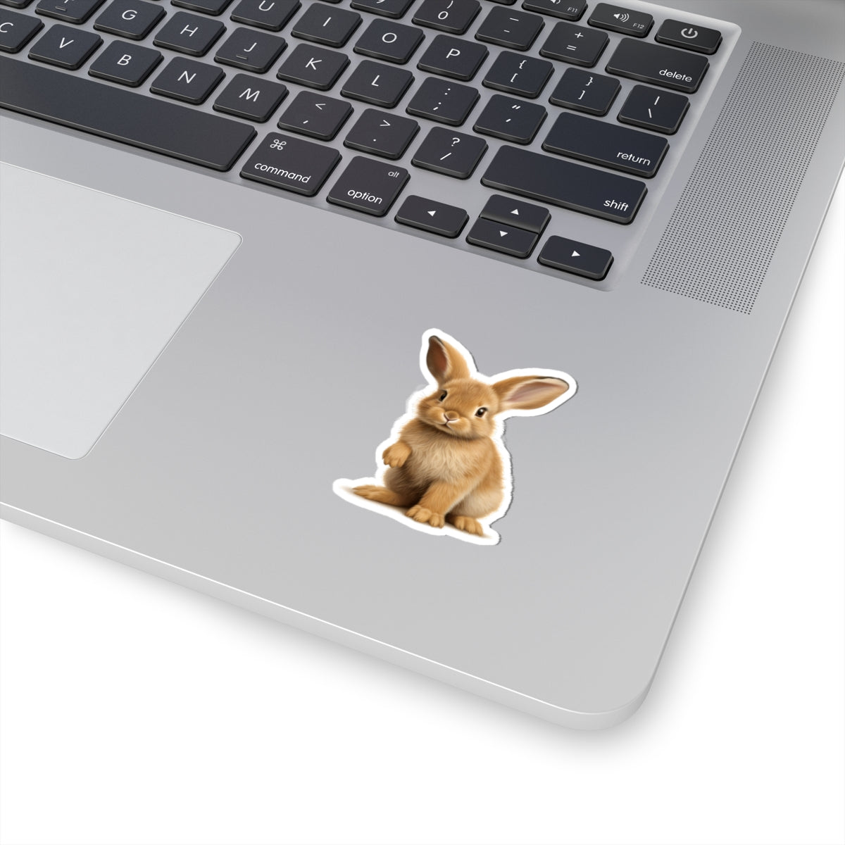 Baby Bunny Sticker