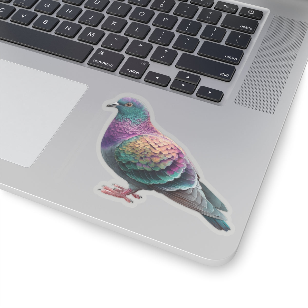 Pigeon Sticker