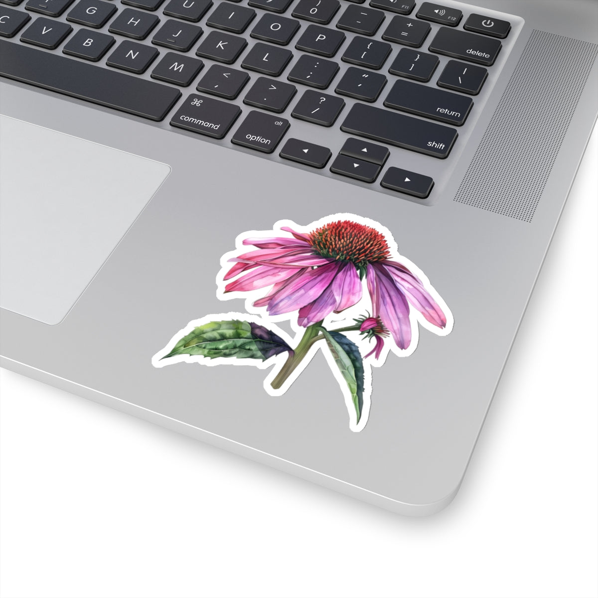 Echinacea Sticker