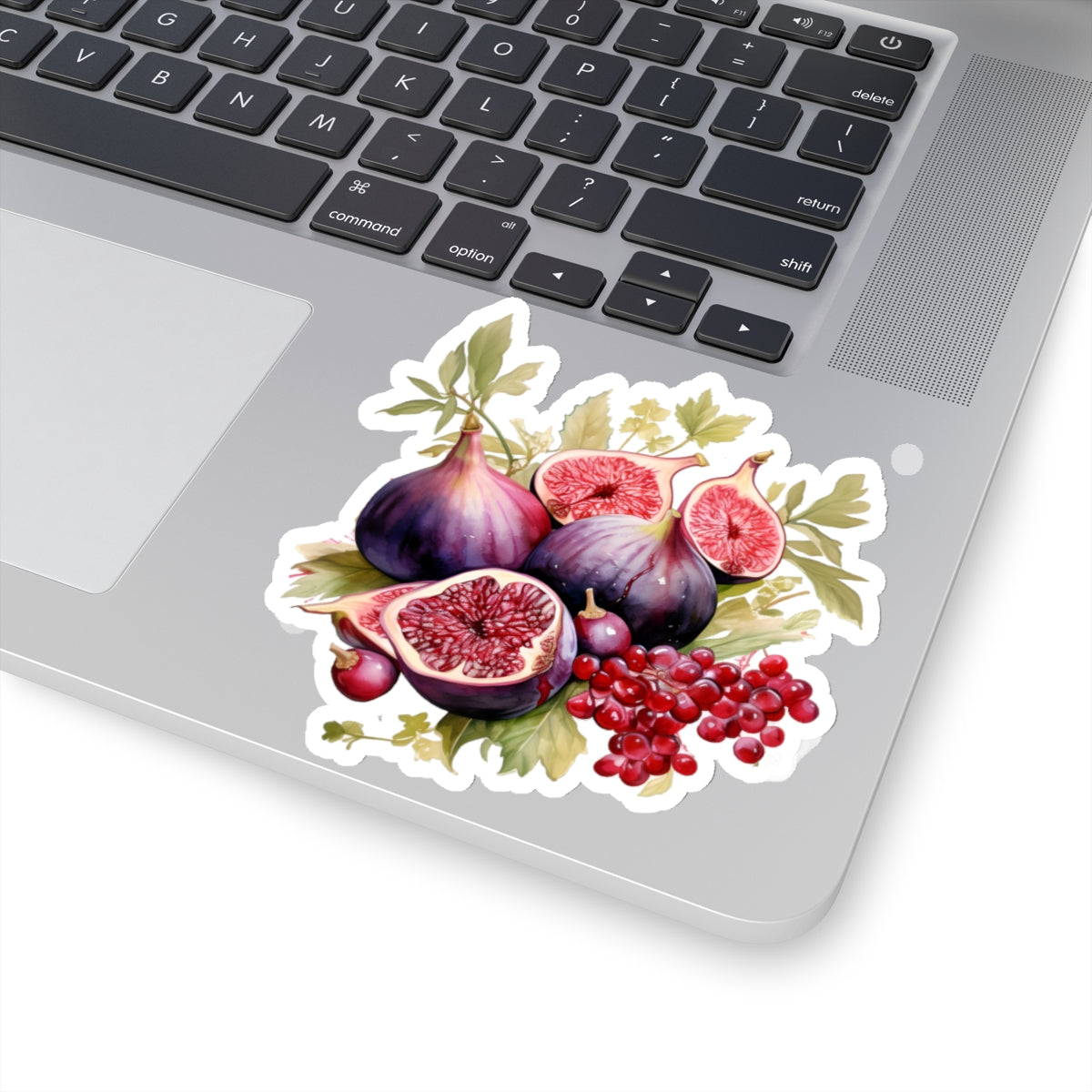 Figs Sticker