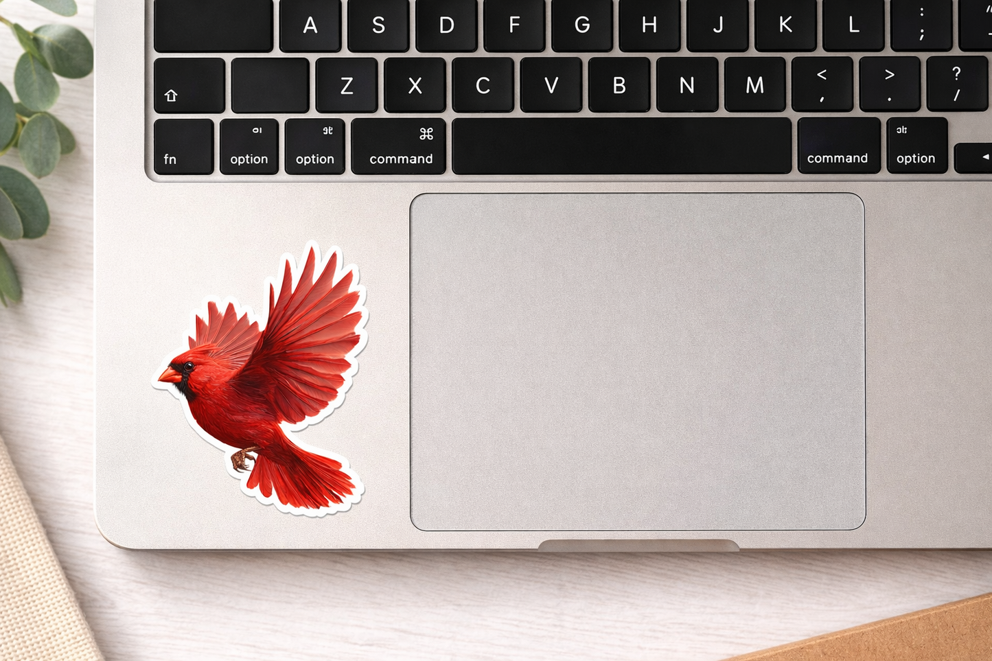 Cardinal Sticker