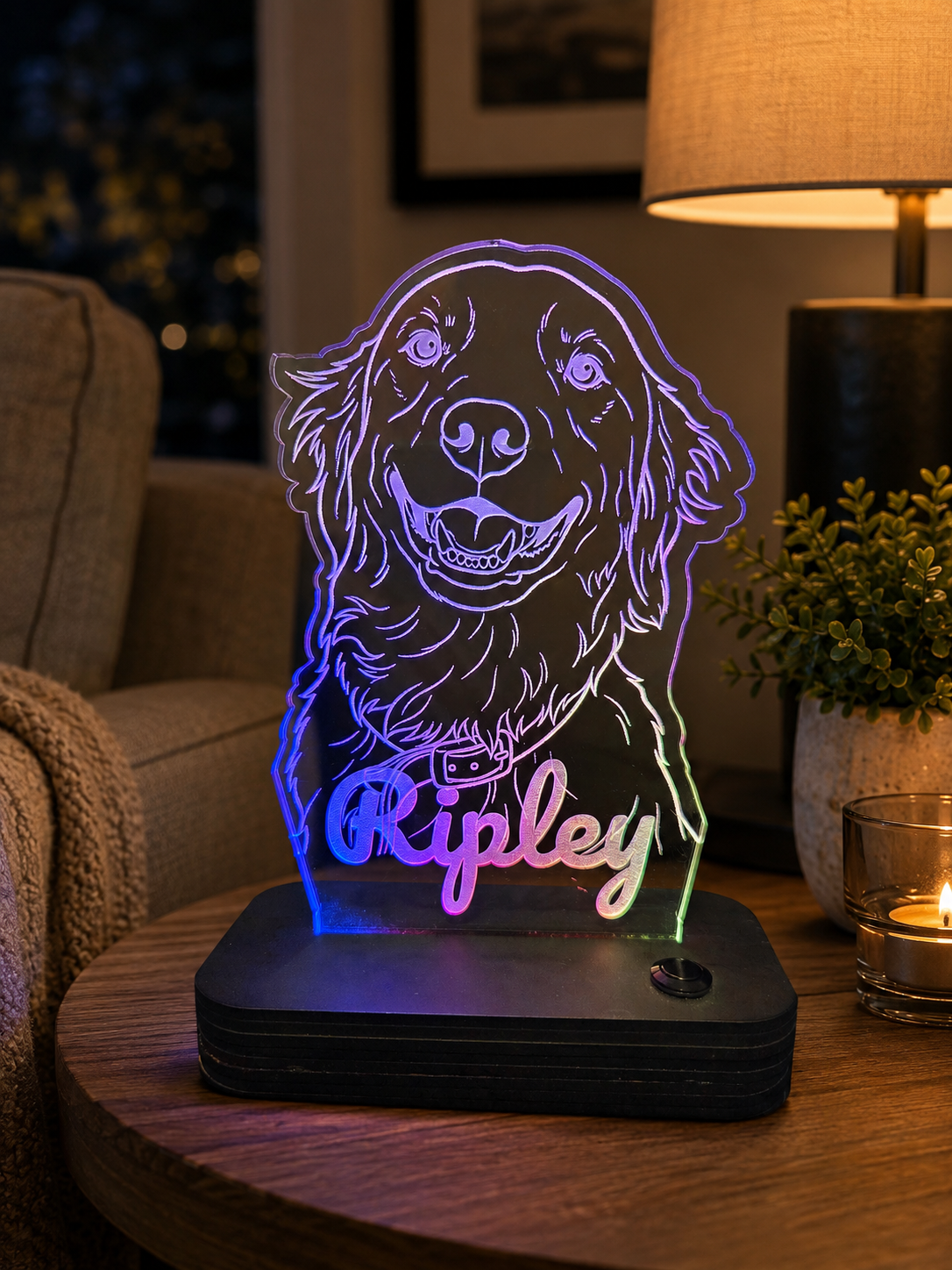 Customized Light-up Pet Art Acrylic LED Sign