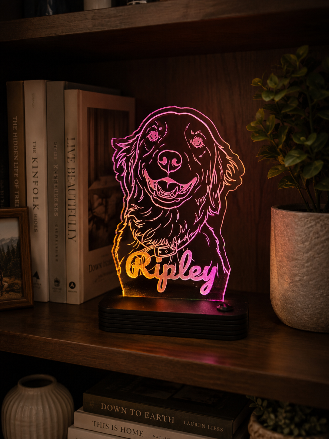 Customized Light-up Pet Art Acrylic LED Sign