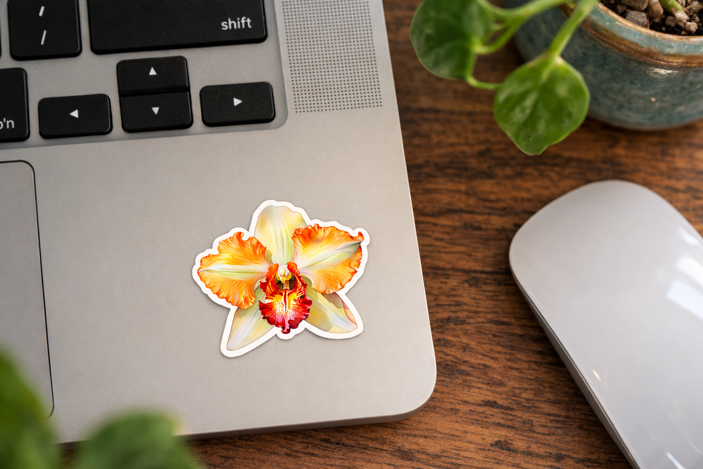 Orchid Bloom Sticker