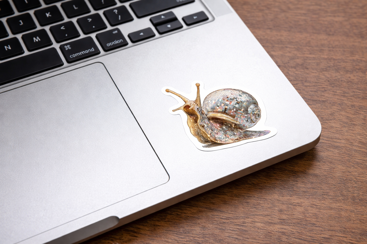 Disco Snail Sticker