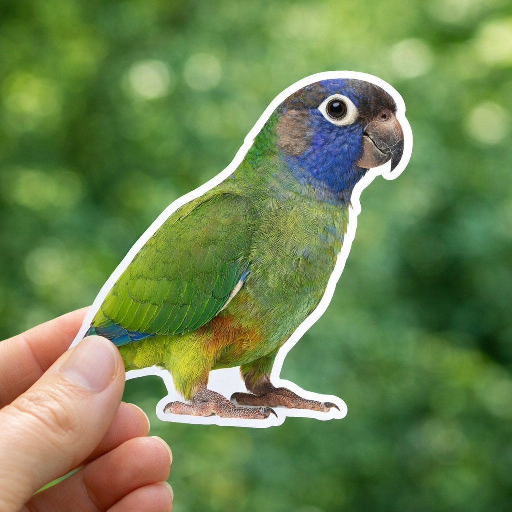 Parrot Sticker