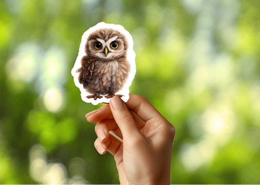 Baby Owl Sticker