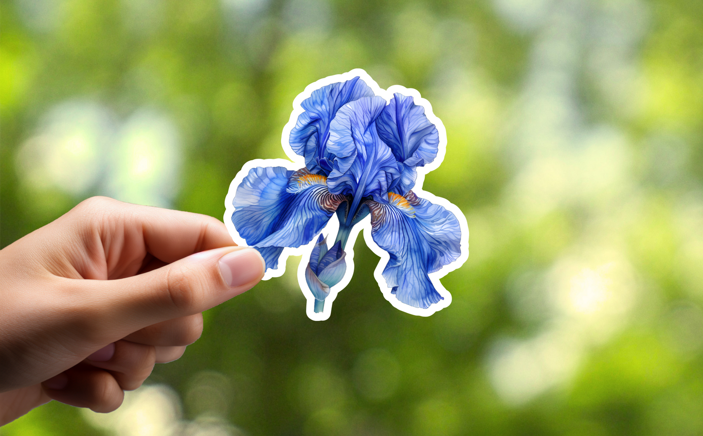 Blue Watercolor Iris Sticker