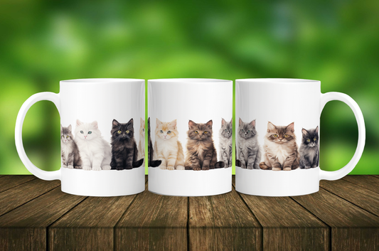 Kitten Mug - 11oz ceramic coffee mug