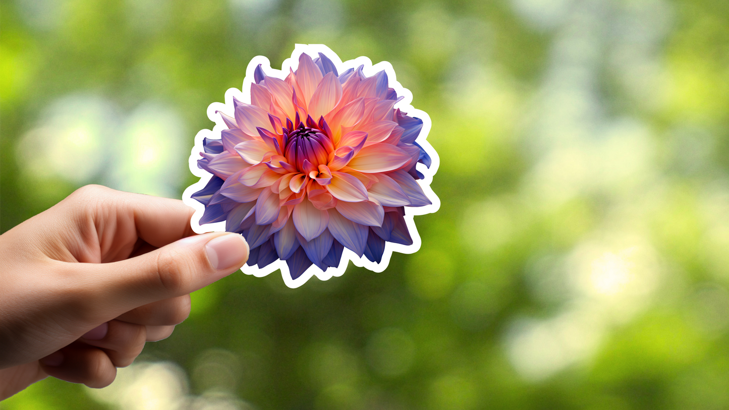 Dahlia Sticker