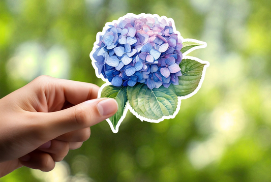 Hydrangea Sticker