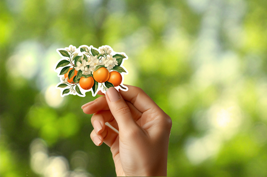 Oranges and Blossoms Sticker
