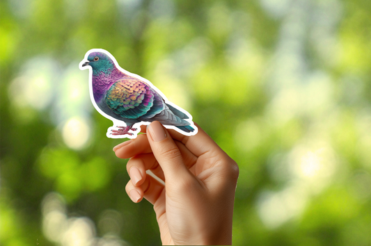 Pigeon Sticker