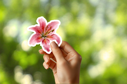 Pink Lily Sticker