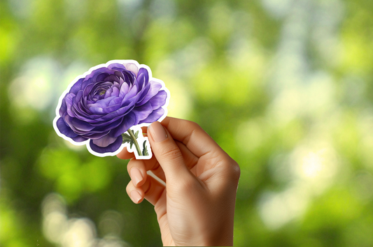 Purple Ranunculus Sticker