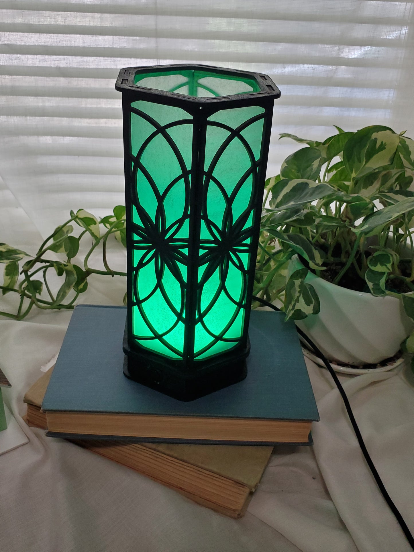 Multicolor LED Luminary