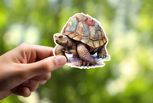 Tortoise Sticker